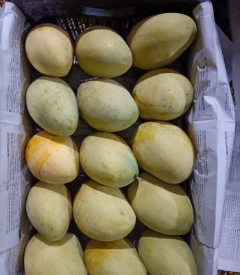fajli